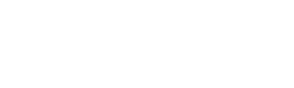Fidelis Security